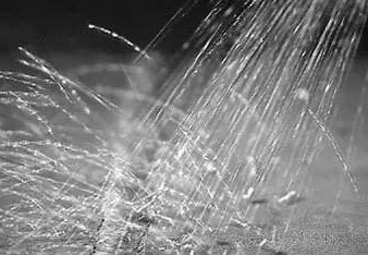 屏幕截圖 2024-10-09 163106.png